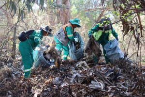 LIMPIEZA PARQUE METROPOLITANO AROCAGUA